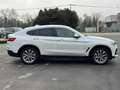 BMW X4 X4 xDrive30d 249 CV xLine TAGLIANDI BMW Bianco - thumbnail 4