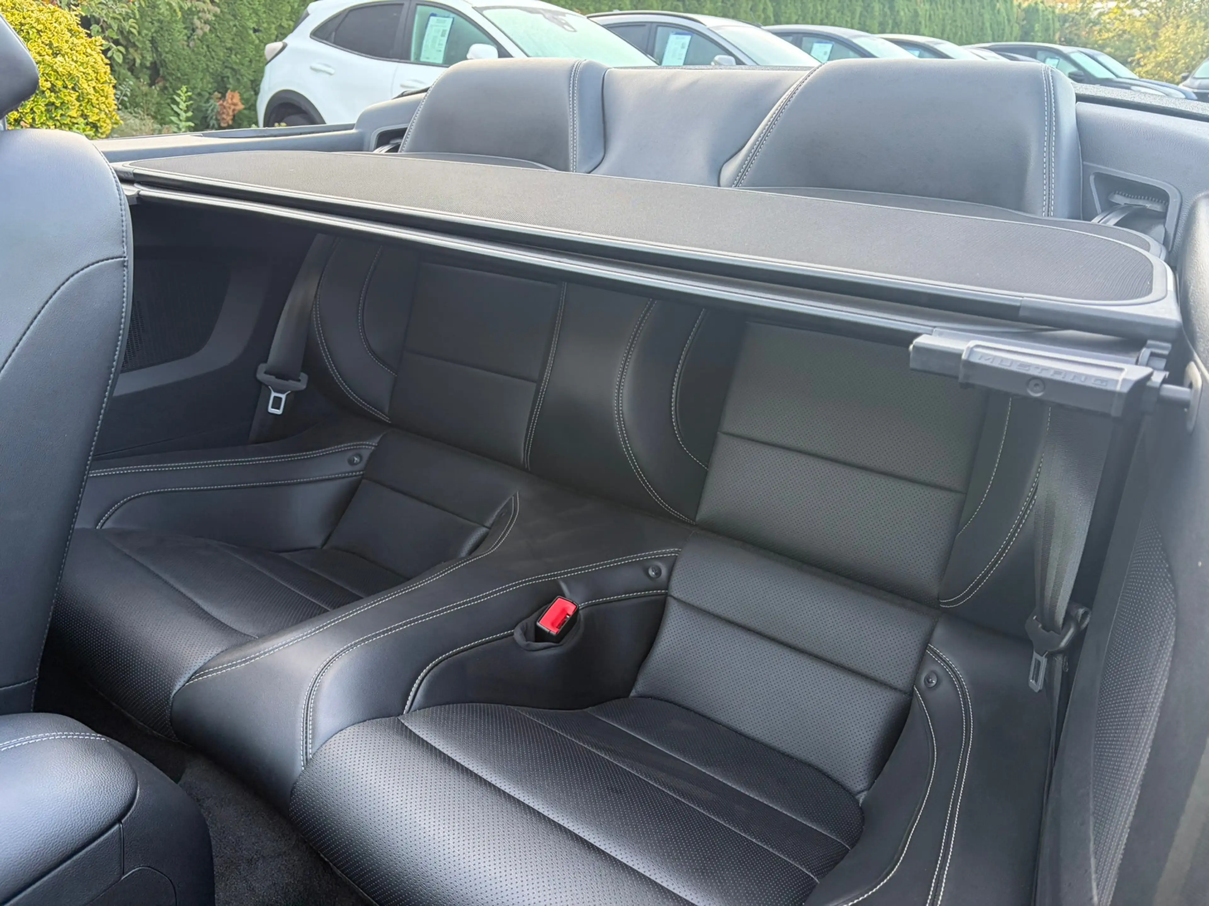 Ford Mustang Convertible 5.0 Ti-VCT V8 Aut. GT — photo 13