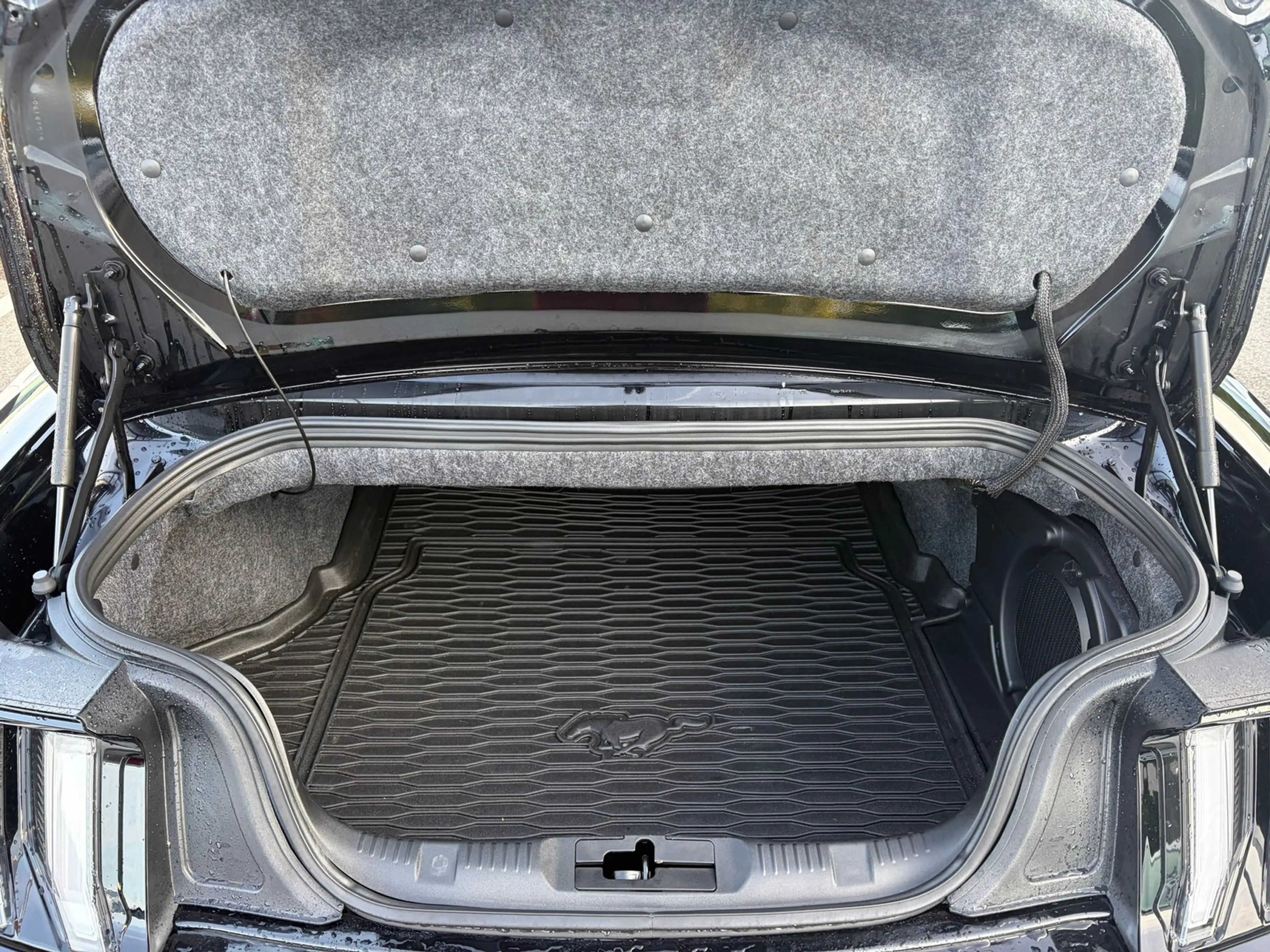 Ford Mustang Convertible 5.0 Ti-VCT V8 Aut. GT — photo 7