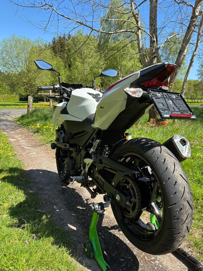 Kawasaki Z 400 (avec kit de rabaissement) Bianco - 2