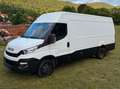 Iveco Daily Daily 50C15 V Weiß - thumbnail 2