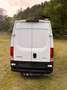 Iveco Daily Daily 50C15 V Weiß - thumbnail 4