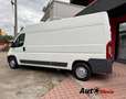 Peugeot Boxer 2.0 hdi 163cv L2H2 IVA esposta Bianco - thumbnail 4