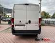 Peugeot Boxer 2.0 hdi 163cv L2H2 IVA esposta Bianco - thumbnail 6