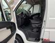 Peugeot Boxer 2.0 hdi 163cv L2H2 IVA esposta Bianco - thumbnail 10