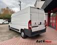 Peugeot Boxer 2.0 hdi 163cv L2H2 IVA esposta Bianco - thumbnail 5
