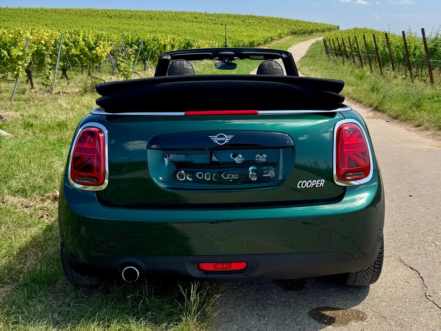 MINI Cooper Cabrio Mini Cooper Cabrio Aut. Grün - 1