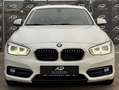 BMW 116 d*Sport Line*Sitzheizung*Xenon*Sportsitze*Tempo... Weiß - thumbnail 3