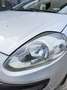 Fiat Punto Evo 5p 1.4 Emotion Gpl 77cv Silber - thumbnail 19