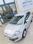 Fiat Punto Evo 5p 1.4 Emotion Gpl 77cv Silber - thumbnail 6