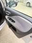 Fiat Punto Evo 5p 1.4 Emotion Gpl 77cv Silber - thumbnail 13
