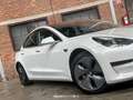 Tesla Model 3 Standard RWD Plus 60 kWh - thumbnail 10