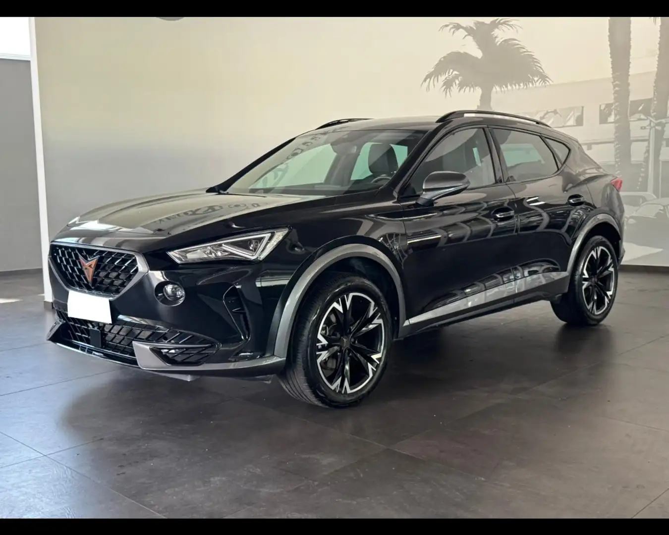 CUPRA Formentor 2.0 TDI 4Drive DSG Nero - 1