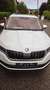Skoda Kodiaq Kodiaq 2,0 TDI SCR 4x4 Style DSG Style Weiß - thumbnail 2