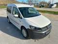 Volkswagen Caddy Caddy 1.0 TSI  Comfortline 5-Sitzer KLIMA Tempomat Wit - thumbnail 5