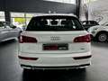 Audi Q5 55 TFSI e quattro S tronic S line plus Bianco - thumbnail 6