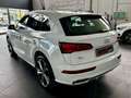 Audi Q5 55 TFSI e quattro S tronic S line plus Bianco - thumbnail 7