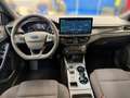 Ford Focus Turnier 1,5 EcoBlue ST-Line Aut. Weiß - thumbnail 8