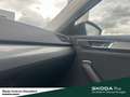 Skoda Superb Combi Style TDI DSG Business-Paket Columbus Fahras Zwart - thumbnail 21