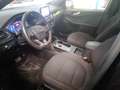 Ford Kuga 2.5 Duratec PHEV ST-Line 4x2 Negro - thumbnail 7