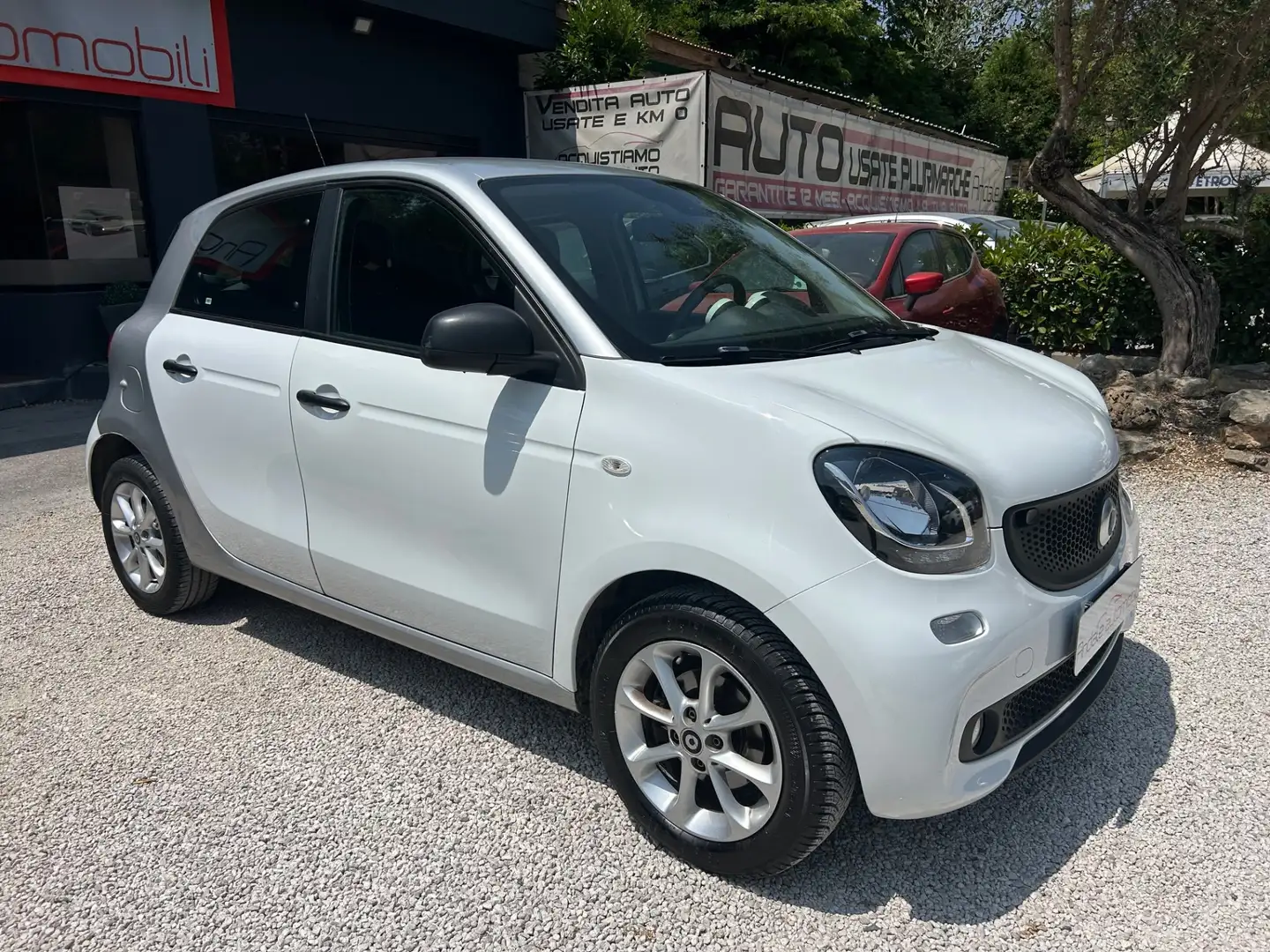 smart forFour 1.0 PASSION NEOPATENTATI Bianco - 1