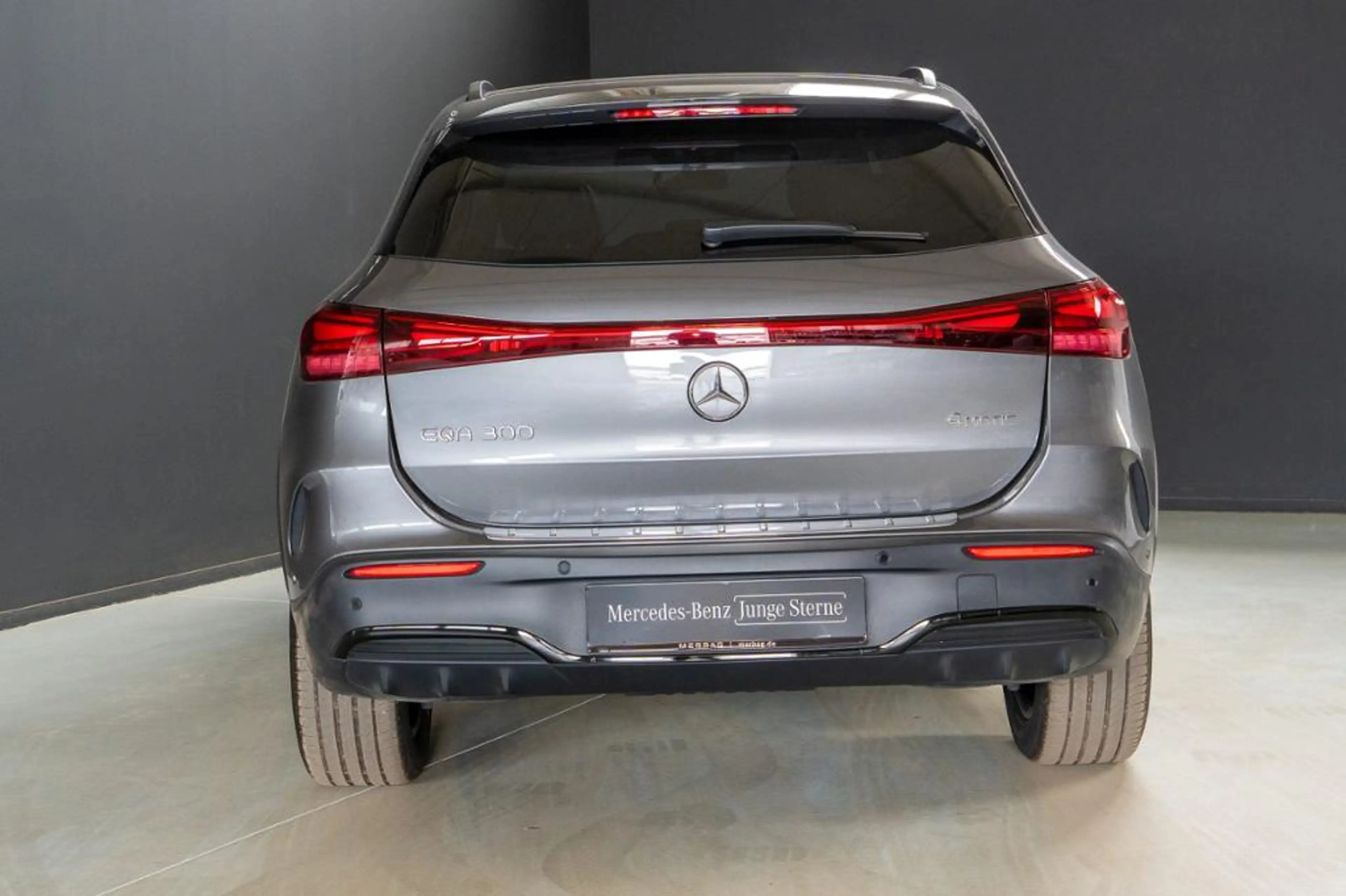 Mercedes-Benz EQA 300 4M *AMG Night Pano Distronic LED Winter — photo 4