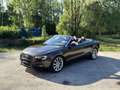 Audi A5 3.0TDI V6 204CV BVA AVUS Brun - thumbnail 3