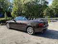 Audi A5 3.0TDI V6 204CV BVA AVUS Brun - thumbnail 9
