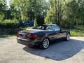 Audi A5 3.0TDI V6 204CV BVA AVUS Brun - thumbnail 11
