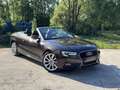 Audi A5 3.0TDI V6 204CV BVA AVUS Brun - thumbnail 1
