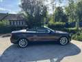 Audi A5 3.0TDI V6 204CV BVA AVUS Brun - thumbnail 12
