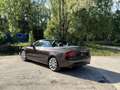 Audi A5 3.0TDI V6 204CV BVA AVUS Brun - thumbnail 10