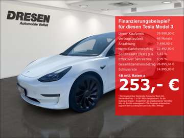 Dual AWD Tesla Performance AWD(393 kW 534 PS)