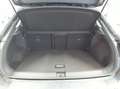 Volkswagen T-Roc 1.5 TSI DSG MOVE NAVI STDHZ LED SHZ Grau - thumbnail 10
