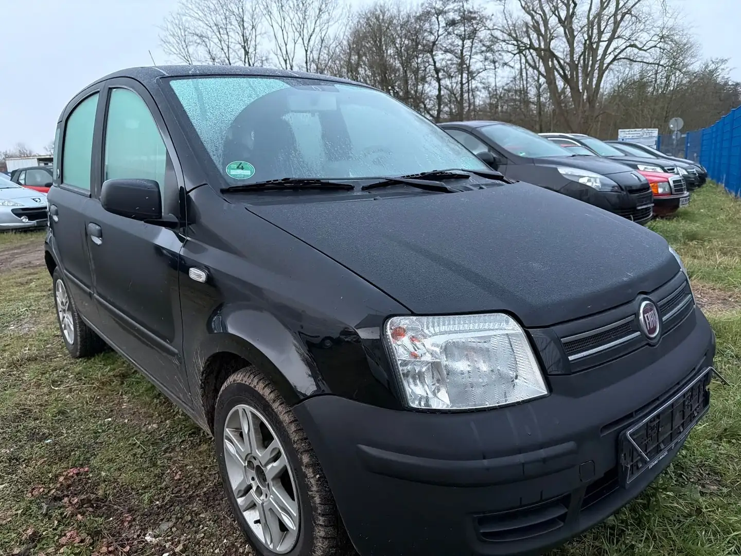 Fiat Panda 1.2 8V Dynamic Tüv 03.26 Schwarz - 1