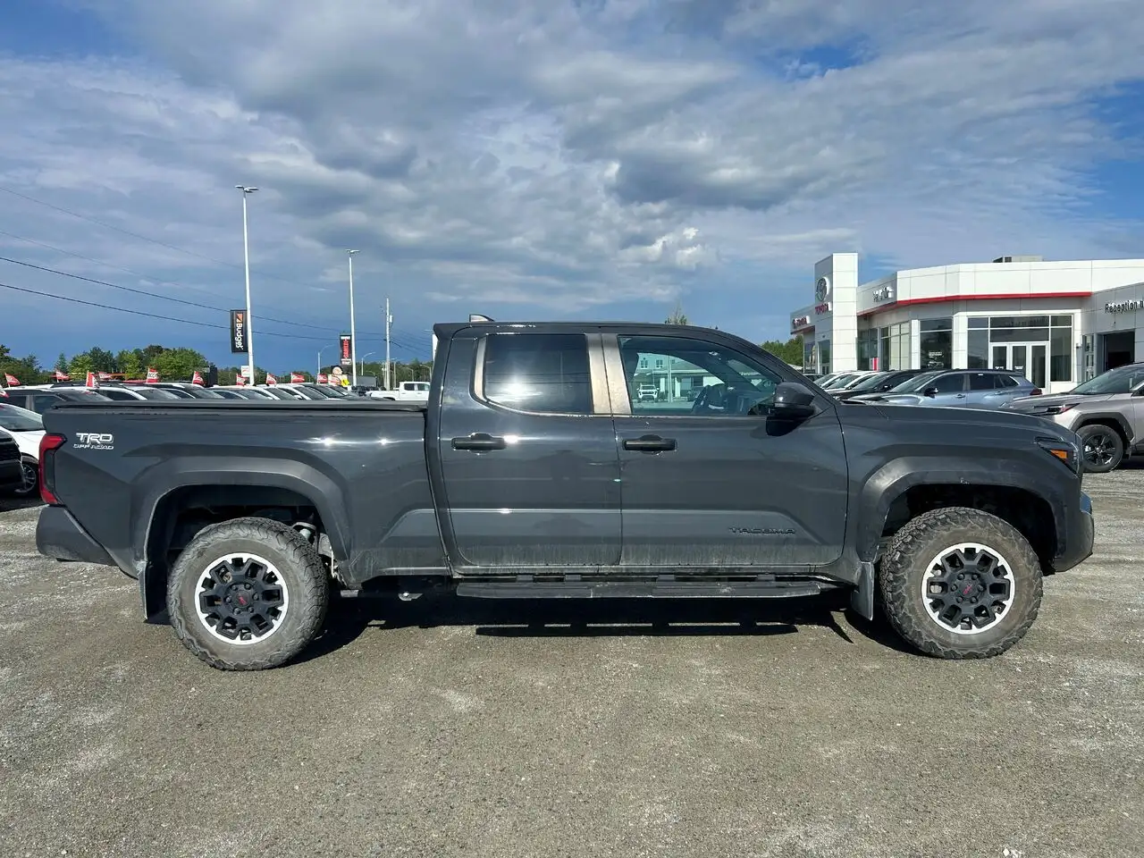 Toyota Tacoma fotografie Toyota Tacoma