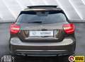 Mercedes-Benz A 220 CDI AMG Line Pano SCHADE LICHTE Bruin - thumbnail 5