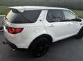 Land Rover Discovery Sport 2,2 SD4 4WD SE Aut. - thumbnail 3