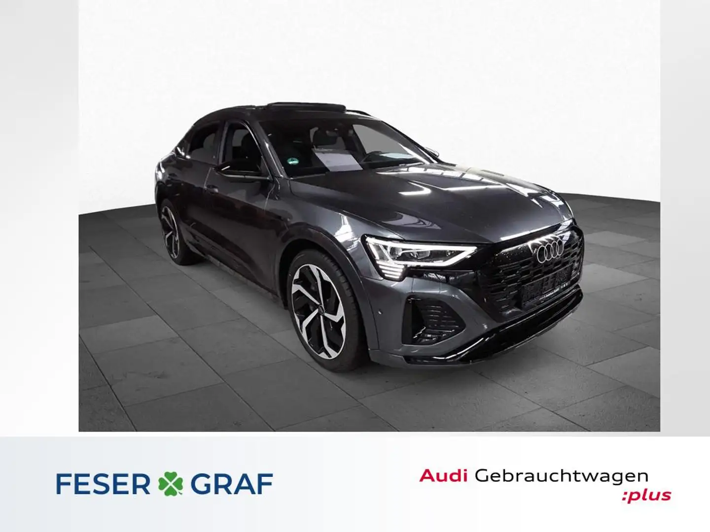 Audi Q8 S line 55 e-tron quat. MATRIX+ACC+RFK Grau - 1