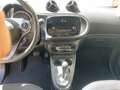 smart forTwo Fortwo 1.0 Passion 71cv twinamic my18 - thumbnail 13