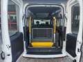 Fiat Doblo 1.6 MJT TRASPORTO DISABILI Weiß - thumbnail 11