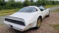 Pontiac Firebird Formula 400 Clone Blanc - thumbnail 6