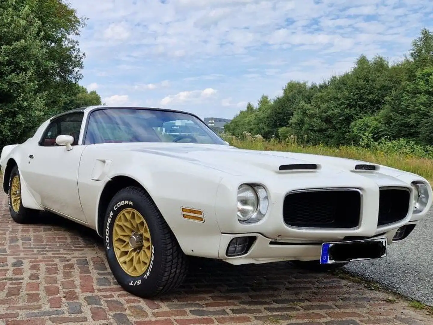 Pontiac Firebird Formula 400 Clone Weiß - 1