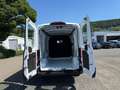 Ford Transit KASTENWAGEN TREND 290L2 130PS Blanc - thumbnail 18