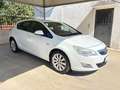 Opel Astra 1.7 CDTI 125CV 5 porte Cosmo PRONTA CONSEGNA Bianco - thumbnail 3