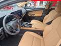 Lexus NX 350h E-Four Executive Line Aut. Grün - thumbnail 9