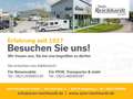 Renault Trafic Combi L2H1 3,0t Life 9-Sitzer Grau - thumbnail 19
