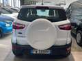 Ford EcoSport 1.0 ecoboost Plus 100cv my19 Blanc - thumbnail 4