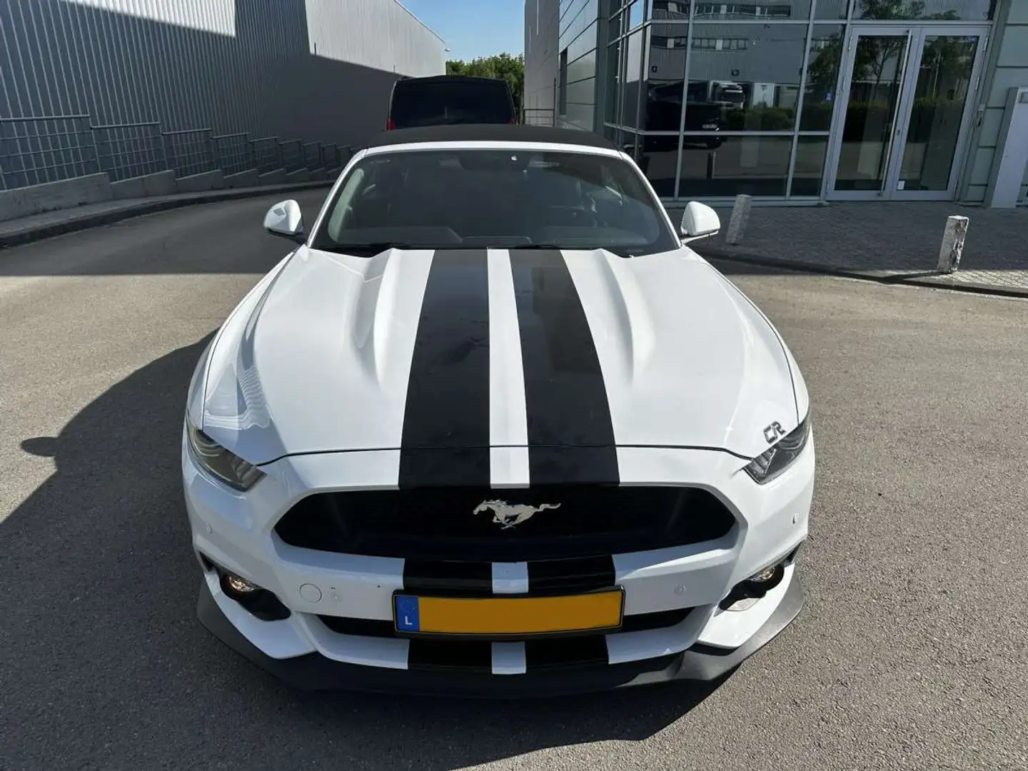 Ford Mustang 5.0 Wit - 2