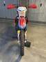 Gas Gas EC 250 EC 250 racing Rosso - thumbnail 5
